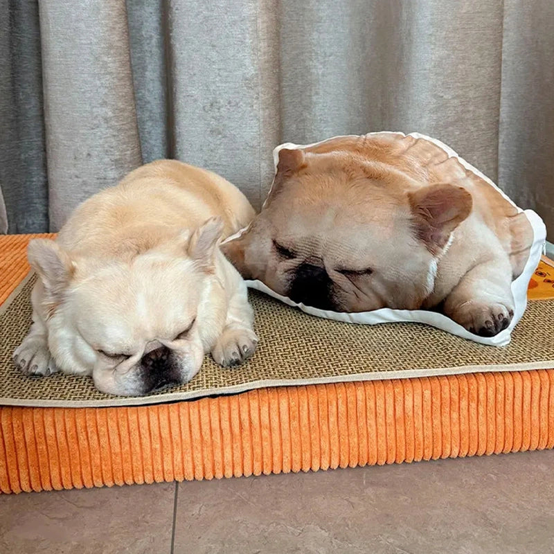 Personalized Funny Pet Photo Cushion Doll – Custom Ugly Cute Plush Pillow, Custom Pet Face Body Pillow Gift