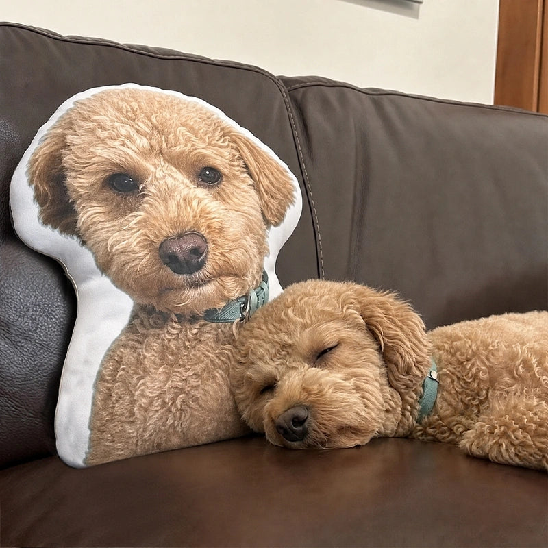A Hug From Home™ - Personalized Photo Hug Pillow For College Students