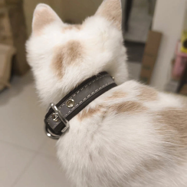 Personalized Leather Dog Collar with Name – Custom Engraved Pet ID Collar | Adjustable Dog Accessory