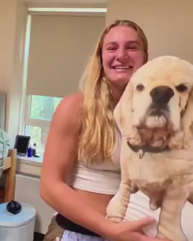 Turn Your Pet Into A Pillow You Can Hug- Personalized Pet Photo Shaped Pillow